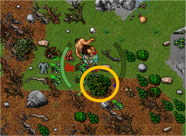 Dharalion – Tibia Bosses