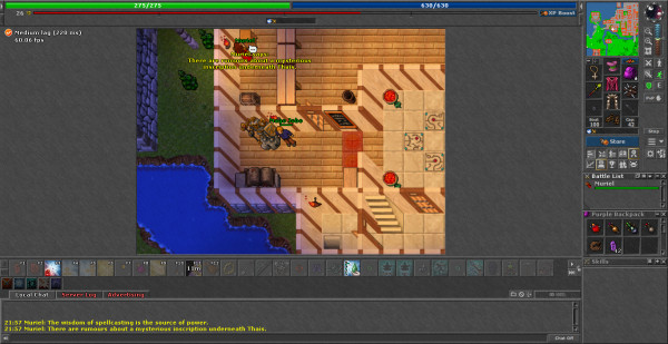Purple backpack tibia shop